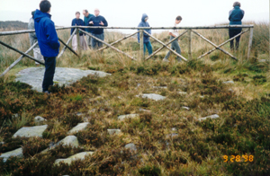 [photograph of the pilgrim's road to Glendalough, Ireland]