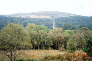 [photograph of the bell tower at Glendalough through trees]