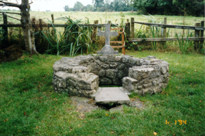 [photograph of St. Bridget's well, Kildare, Irealnd]
