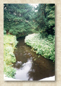 [photo of the River Skell]