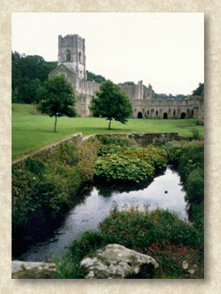 [photo of the River Skell as it flows through the Abbey]